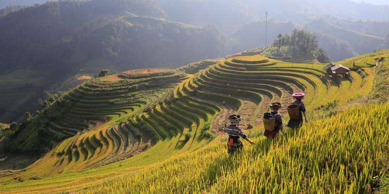 North & Central Vietnam: Hanoi, Hoi An & Countryside Adventures trip - alternative tour available
