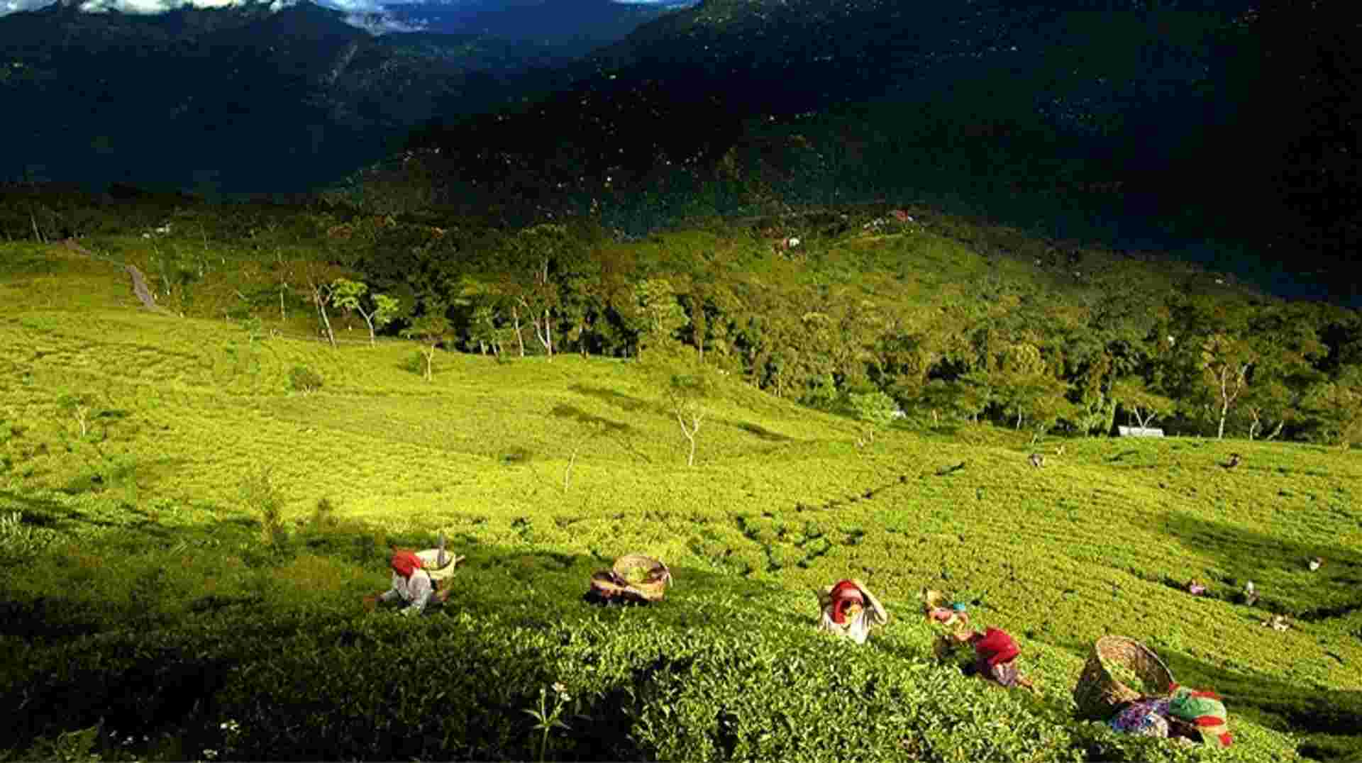 North & Northeast India 
