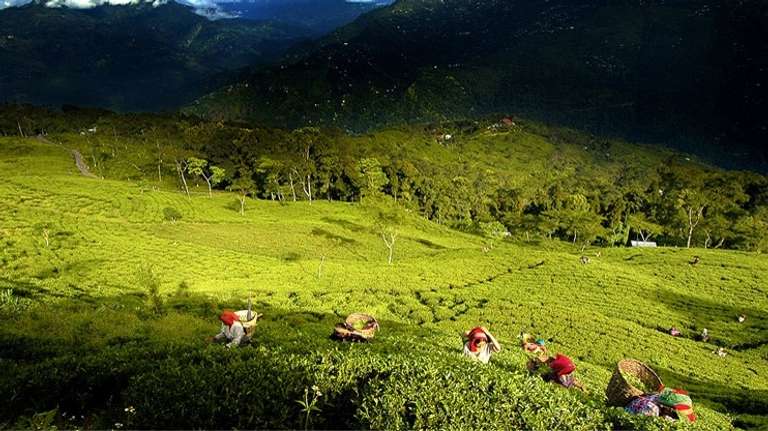 North & Northeast India 