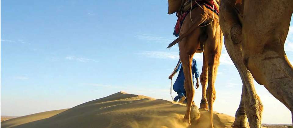 North India Adventure - World Expeditions - India - Image 6