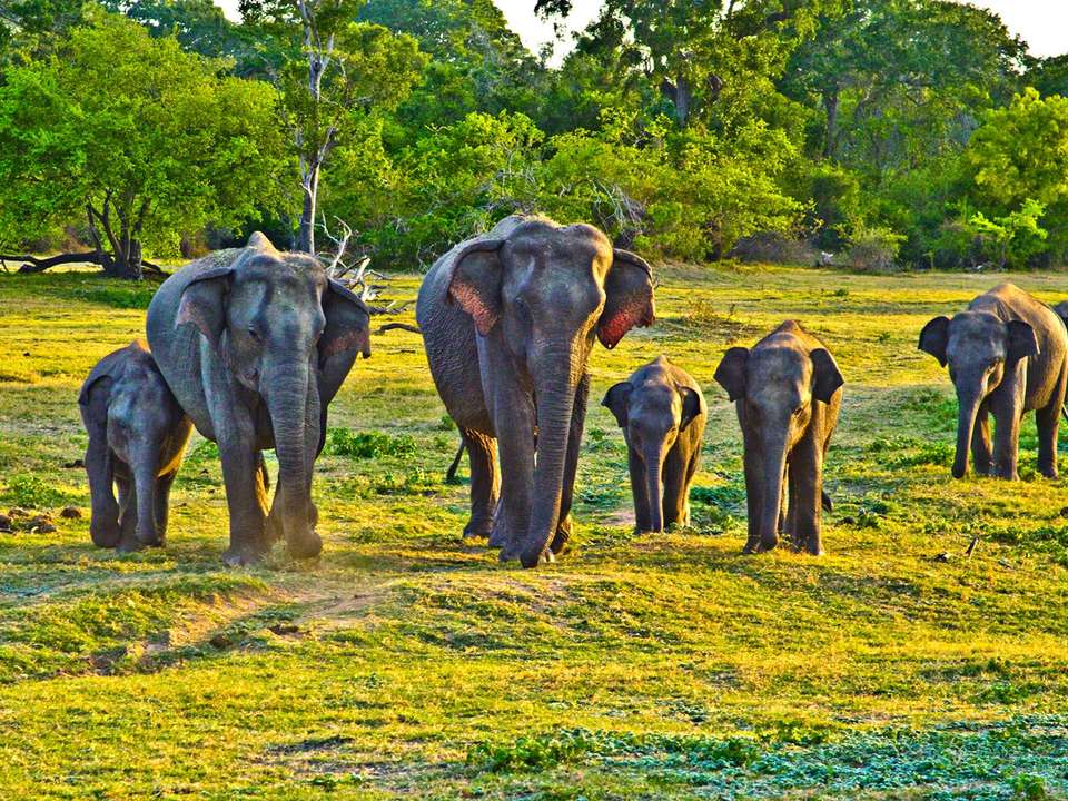 North India & Sri Lanka Adventure - 24 days - On The Go Tours - India - Image 4