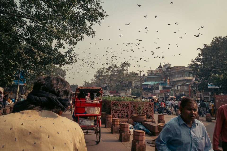 North India Highlights - Intrepid Travel - India - Image 15