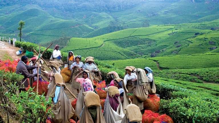 New Delhi Local boat rides Tour: North India with Mumbai & Kerala