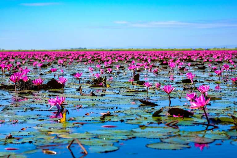 Bangkok Active and outdoor Tour: North Isaan And The Mekong, Small Group Tour