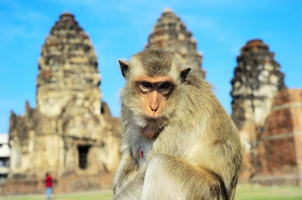 North Isaan And The Mekong, Private Tour - Destination Services - Thailand - Image 3