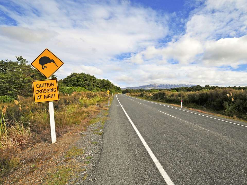 North Island Explorer - 11 days - undefined - Image 5