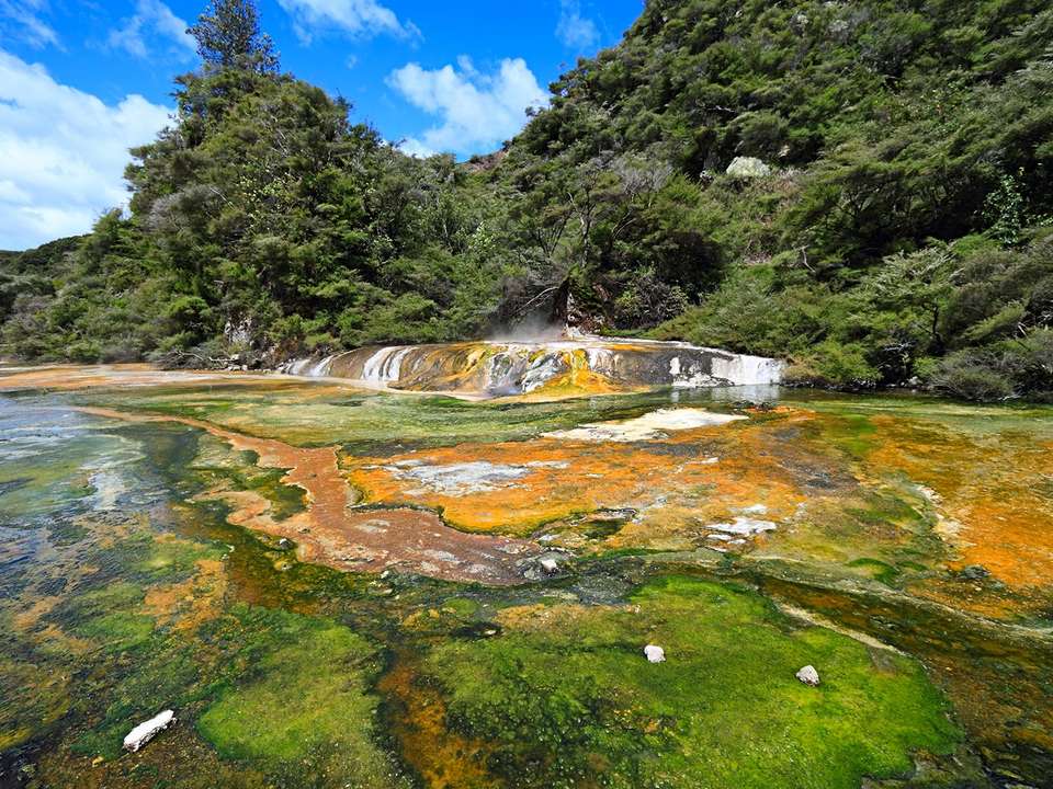 North Island Explorer - 11 days - undefined - Image 6