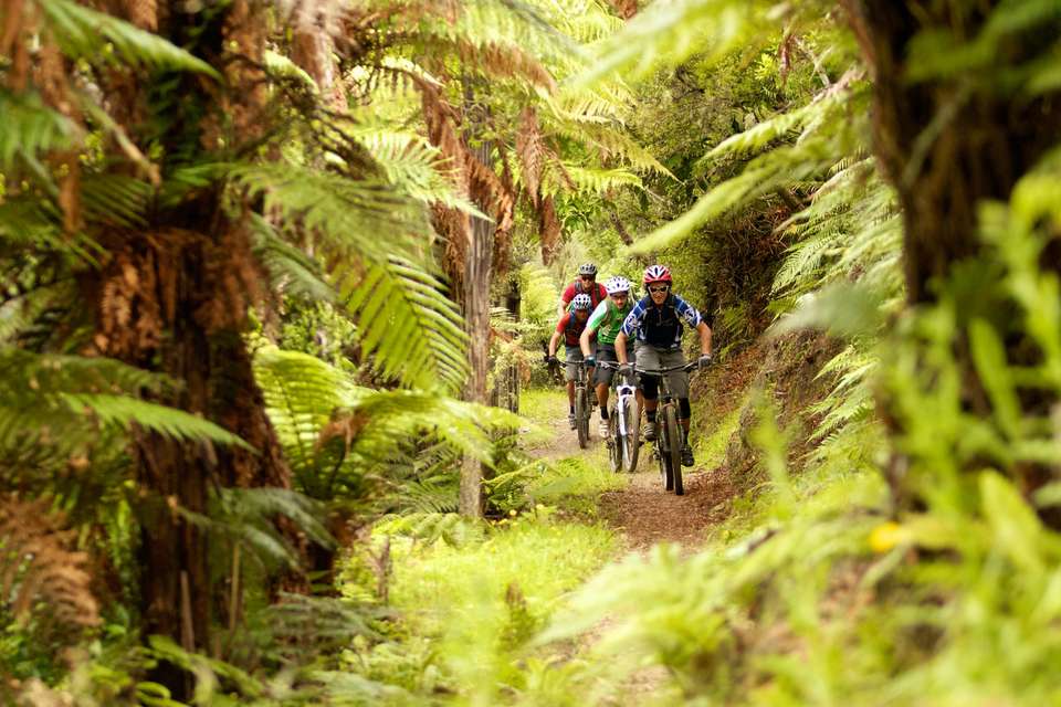 North Island Trail Hunter MTB Tour - undefined - Image 1