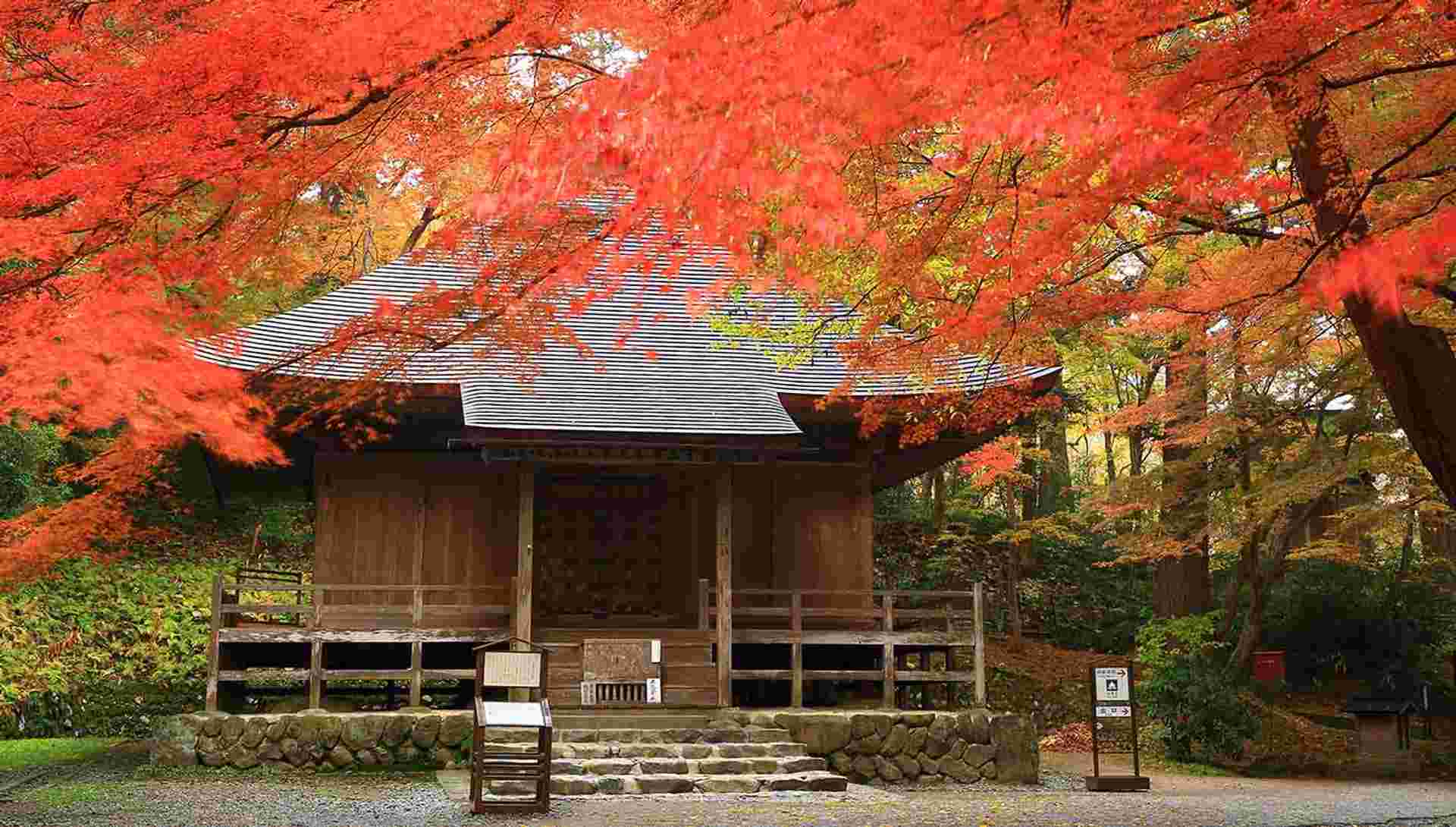 North Japan