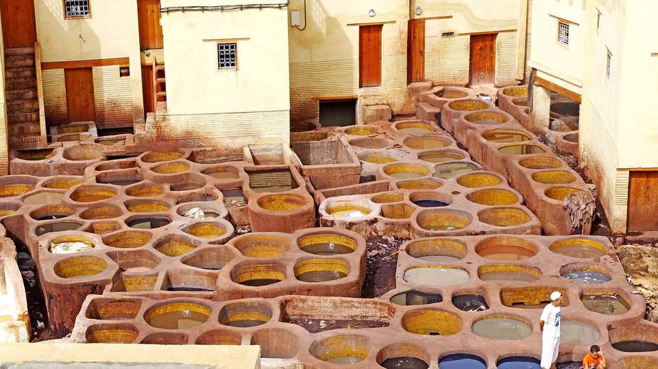 Discover the best of Northern Morocco - undefined - Image 3