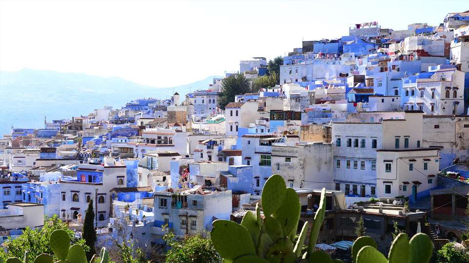 Discover the best of Northern Morocco - undefined - Image 5
