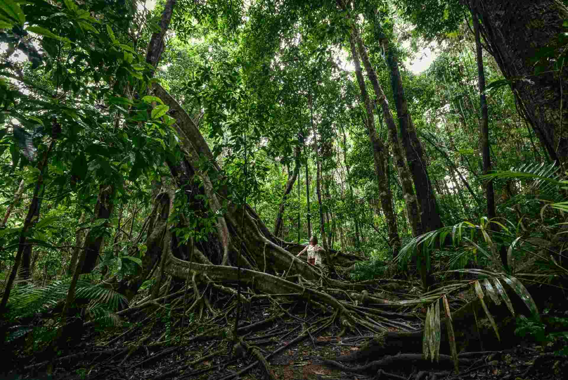 North Queensland Adventure