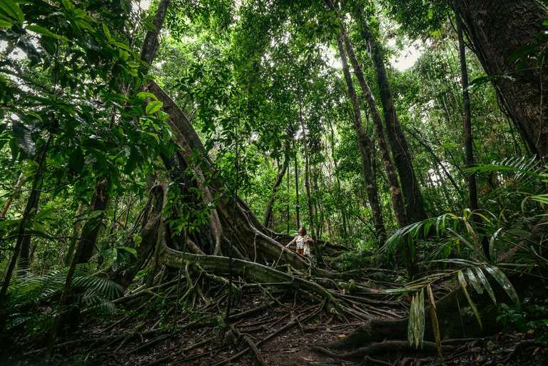 North Queensland Adventure - 13 days