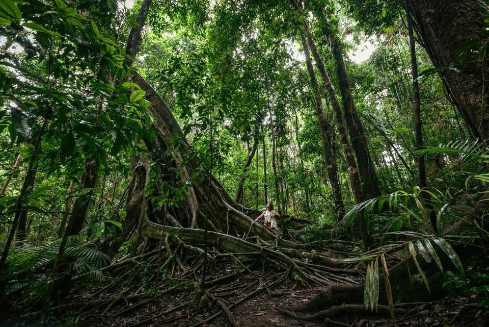 North Queensland Adventure - Intrepid Travel - Australia - Image 1