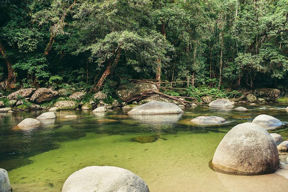 North Queensland Adventure - Intrepid Travel - Australia - Image 6