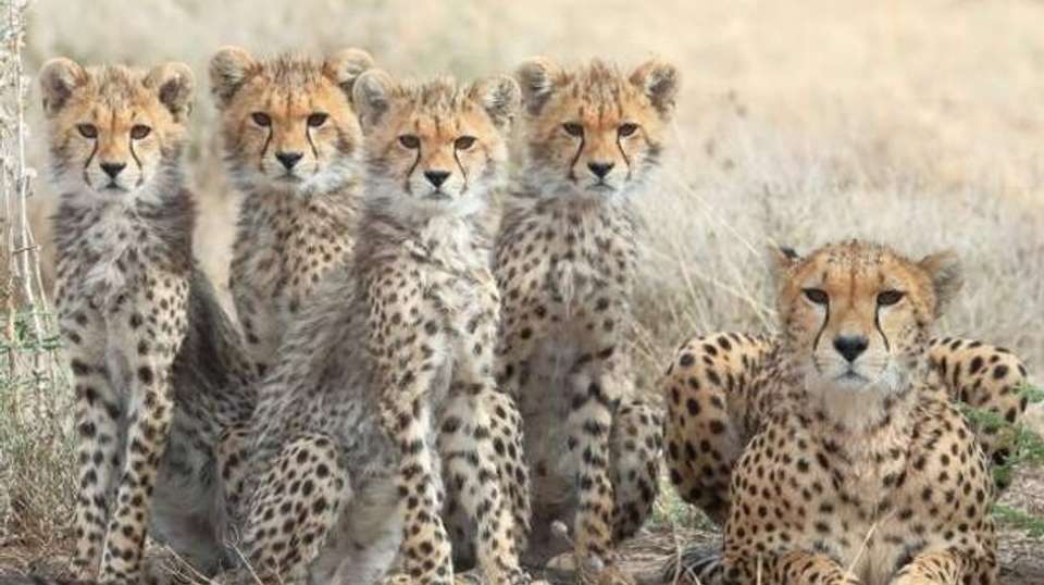North Tanzania Camping & Lodge Safari - Expect In Africa Safari - Tanzania - Image 2