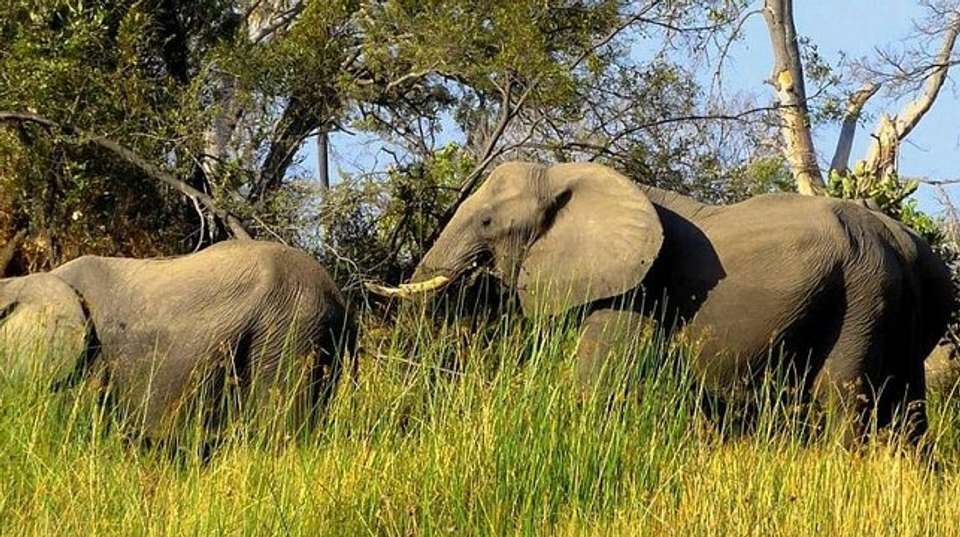 North Tanzania Camping & Lodge Safari - Expect In Africa Safari - Tanzania - Image 3