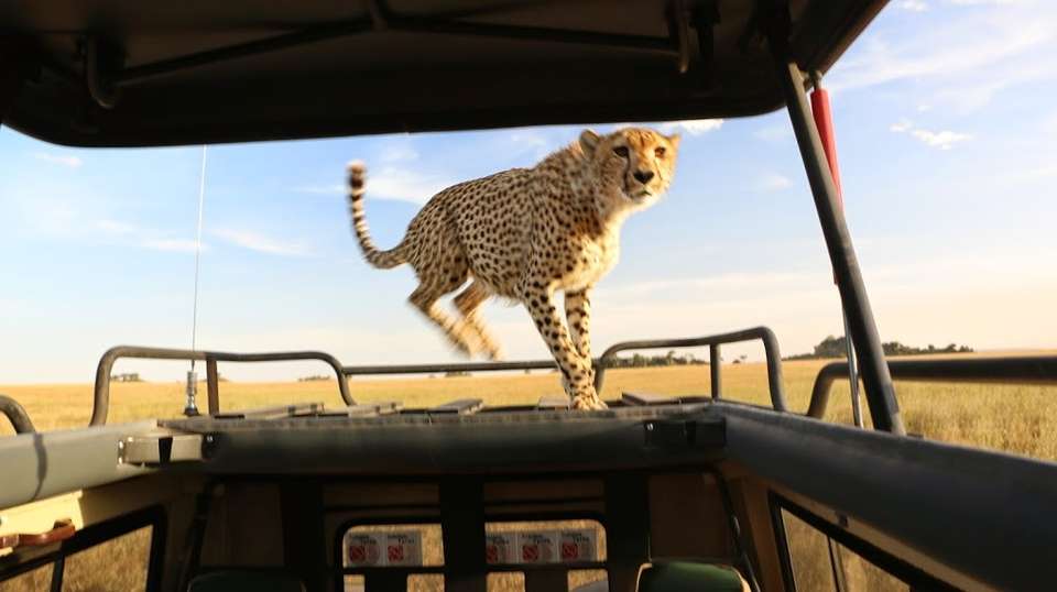 North Tanzania Camping & Lodge Safari - Expect In Africa Safari - Tanzania - Image 6