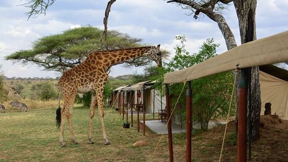 North Tanzania Camping & Lodge Safari - Expect In Africa Safari - Tanzania - Image 1