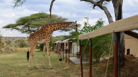 North Tanzania Camping & Lodge Safari - 5 Days