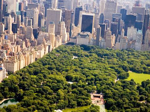 North America Explorer Tour: North To South New York To Miami - 13 Days