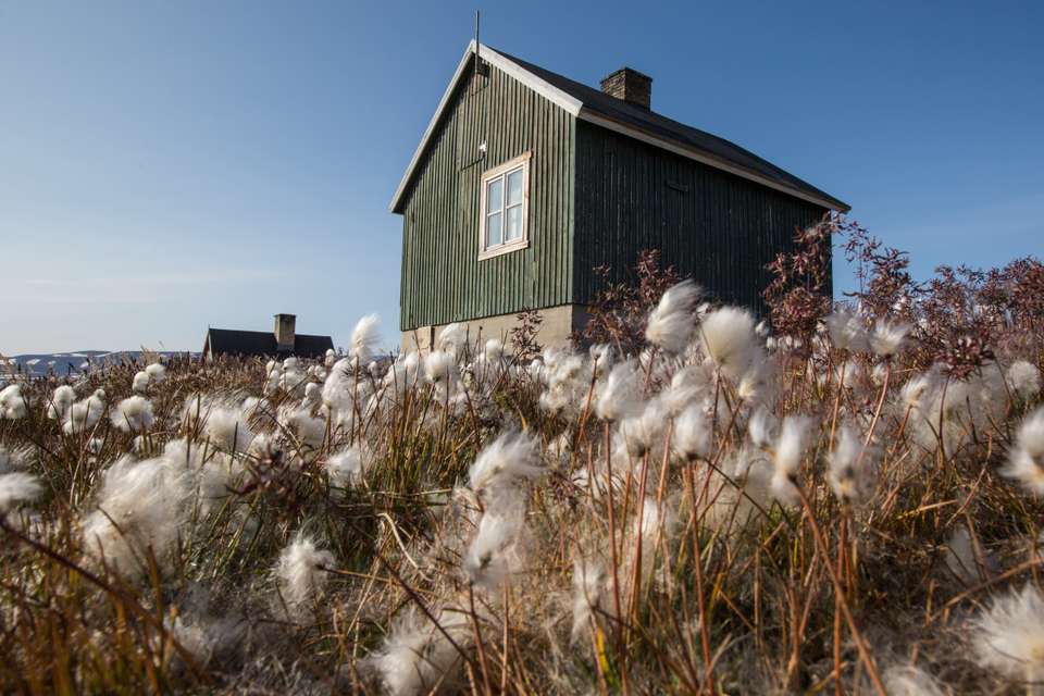 Northeast Greenland: Glaciers and Fjords - Quark Expeditions - Iceland - Image 2