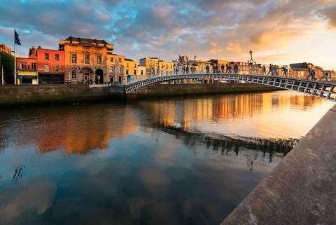 Wildlife Tour: Northern & Southern Ireland