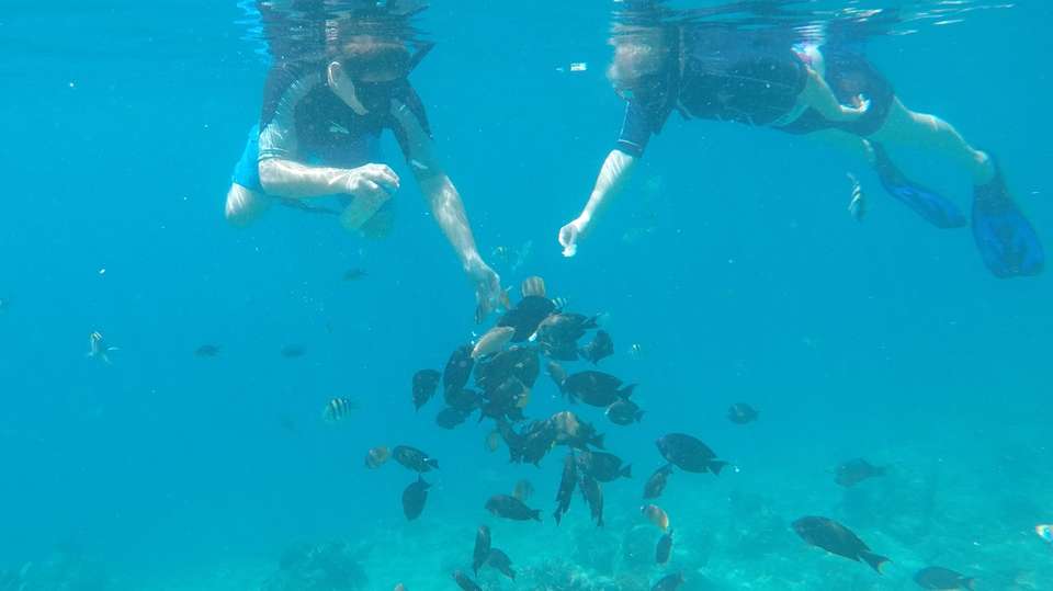 Snorkelling Day Trip to 3 Gilis (Trawangan, Meno, Air) - Adventure Lombok Tour - Indonesia - Image 5
