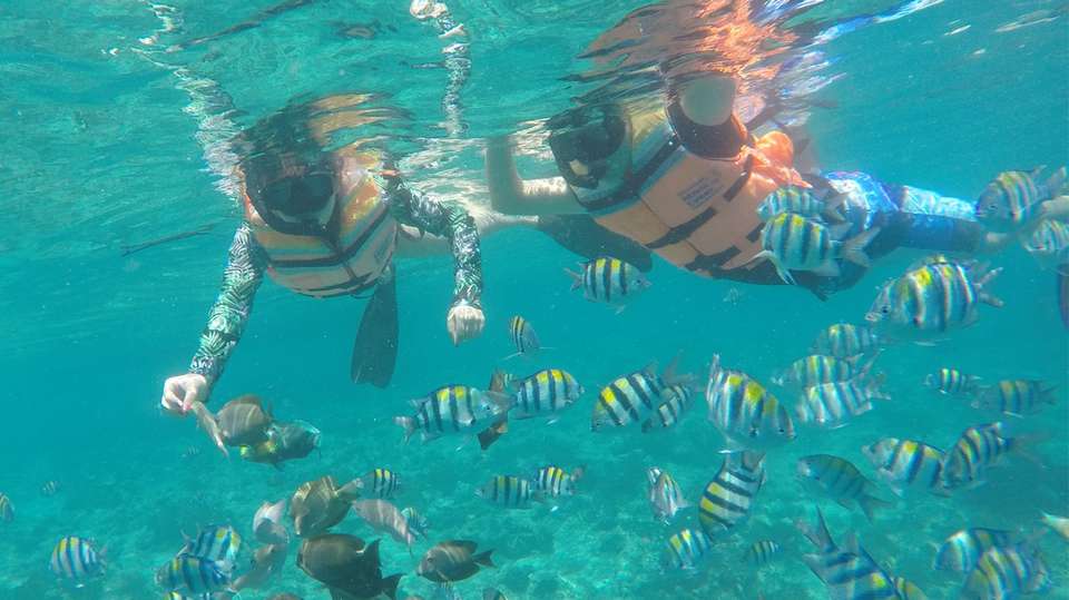 Snorkelling Day Trip to 3 Gilis (Trawangan, Meno, Air) - Adventure Lombok Tour - Indonesia - Image 6