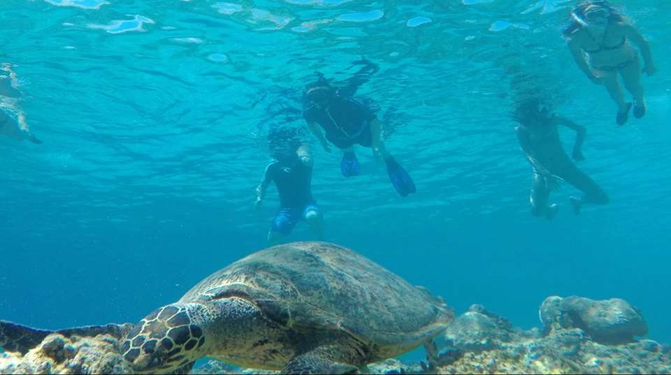 Snorkelling Day Trip to 3 Gilis (Trawangan, Meno, Air) - Adventure Lombok Tour - Indonesia - Image 1