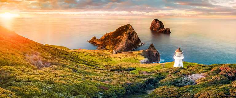 Auckland Sightseeing Tour: Northern Explorer