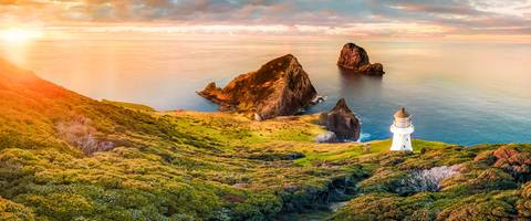 Auckland Sightseeing Tour: Northern Explorer
