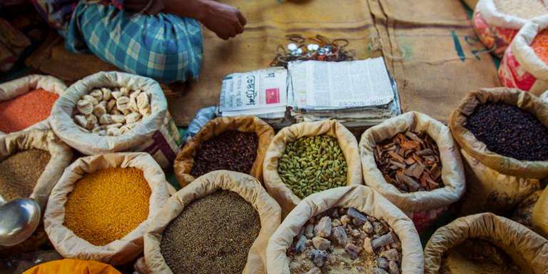 India Tours for Senior Citizens: Northern India: Riverside Safaris, Ancient Fortresses & The Taj Mahal