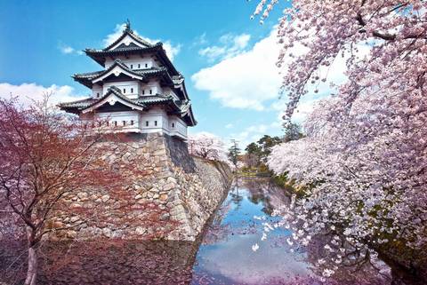 Northern Japan & Hokkaido Adventure - August 2027