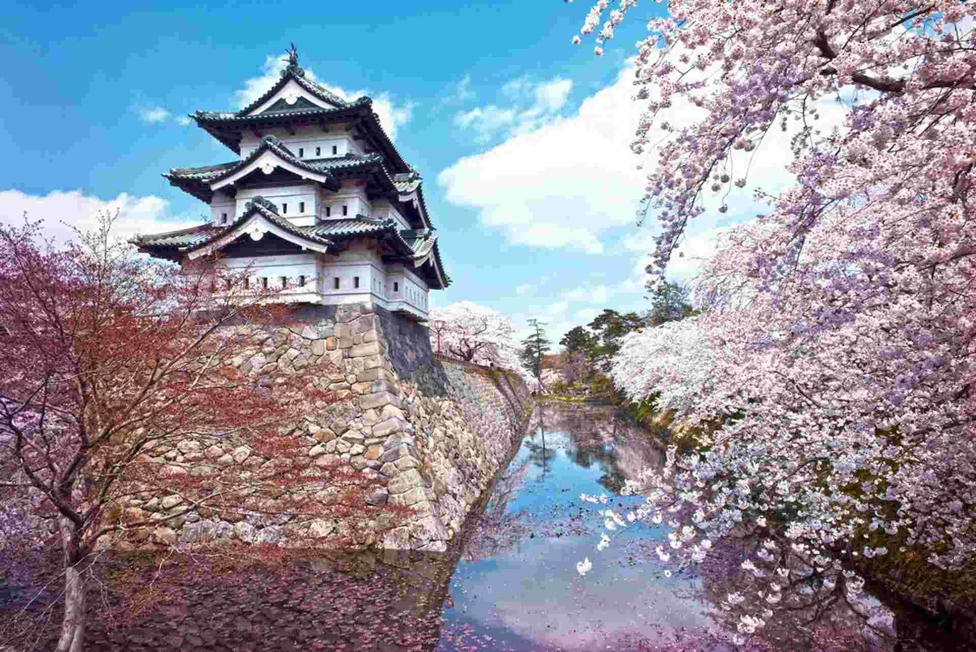 Northern Japan & Hokkaido Adventure