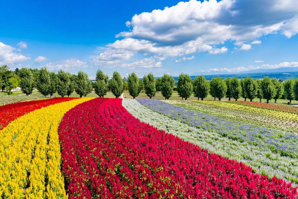 Northern Japan & Hokkaido Adventure - Intrepid Travel - Japan - Image 4