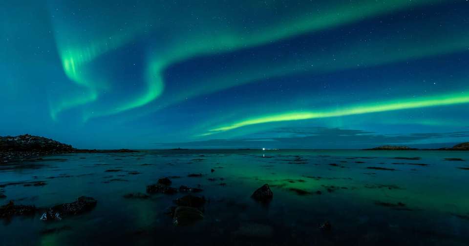 Northern Lights Explorer - M/V Sylvia Earle - Explore - Norway - Image 3