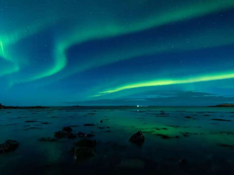 Northern Lights Explorer - M/V Sylvia Earle