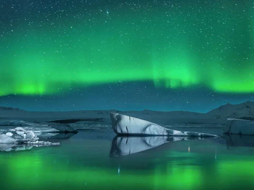 Northern Lights Explorer - M/V Sylvia Earle - undefined - Image 4