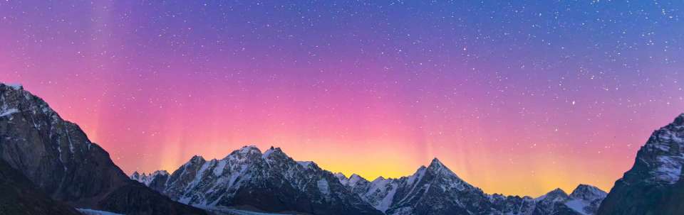 Northern Lights Explorer - M/V Sylvia Earle - undefined - Image 7