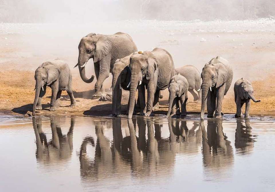 Northern Namibia Circuit - Indus Travels - Namibia - Image 3