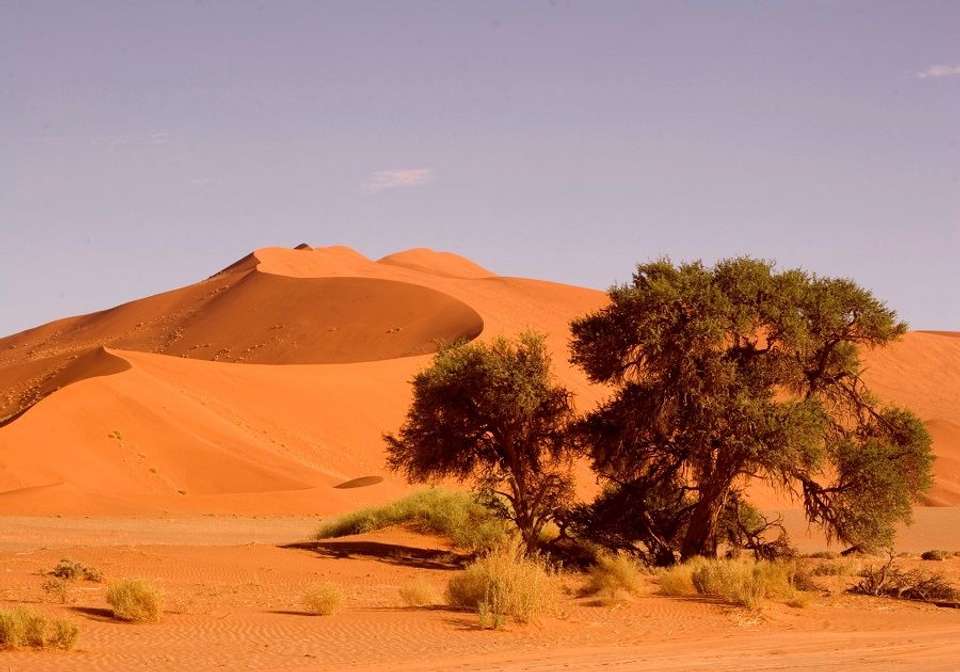 Northern Namibia Circuit - Indus Travels - Namibia - Image 5