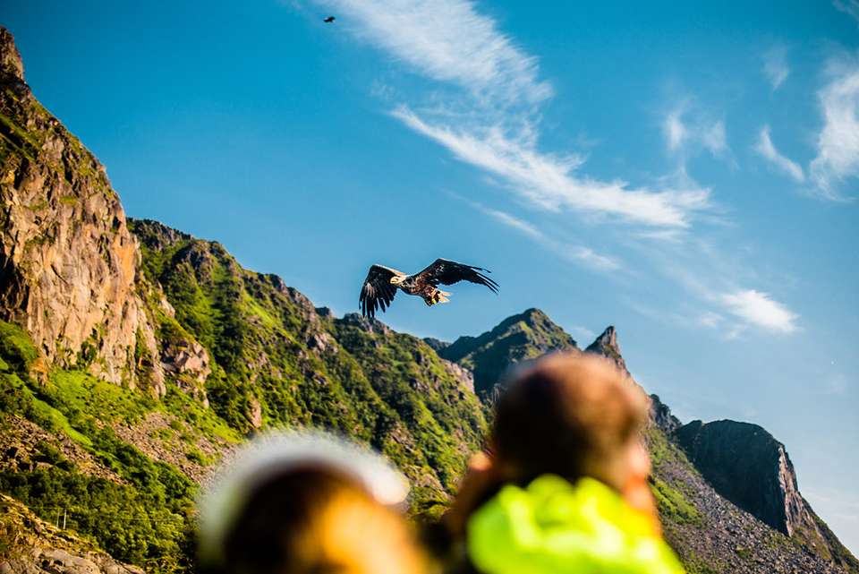 Northern Norway Explorer - Intrepid Travel - Norway - Image 10