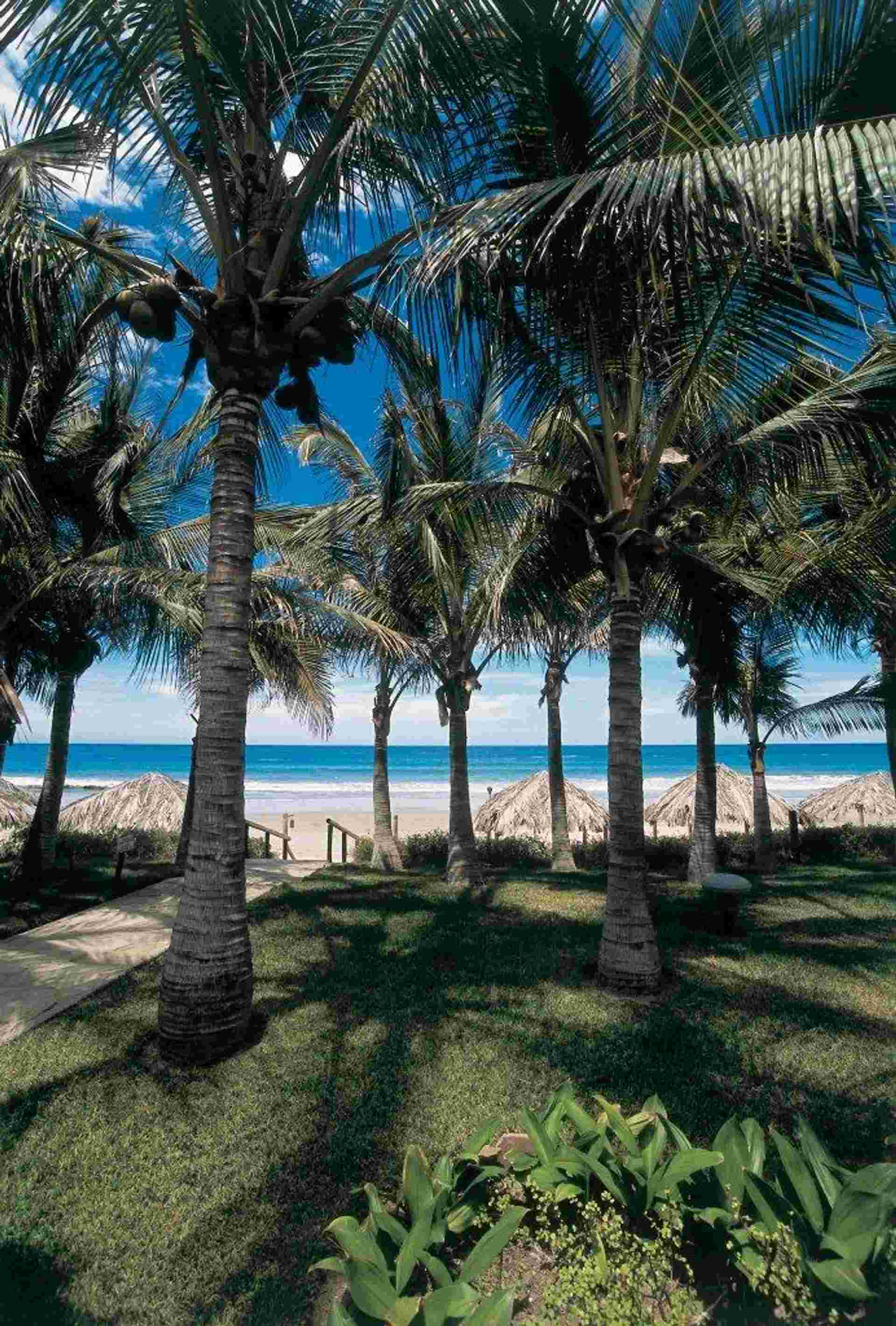 Northern Paradise, Short Break