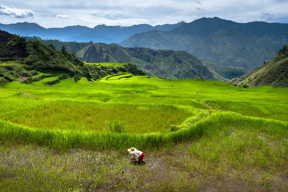 Northern Philippines Highlights - Intrepid Travel - Philippines - Image 6