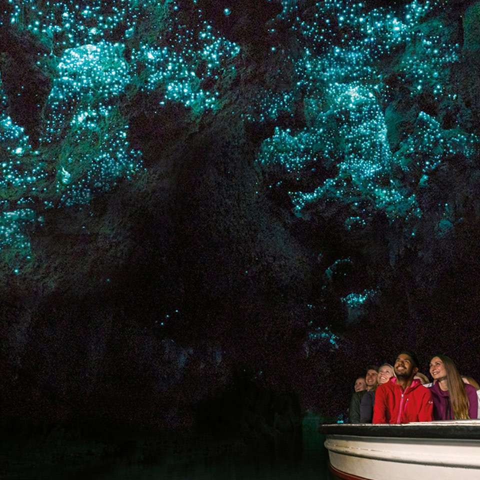 Northern Spotlight - Aat Kings - New Zealand - Image 3