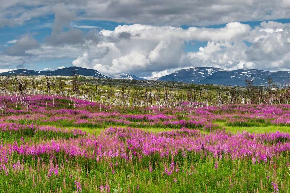 Northern Sweden by Rail - Intrepid Travel - Norway - Image 7