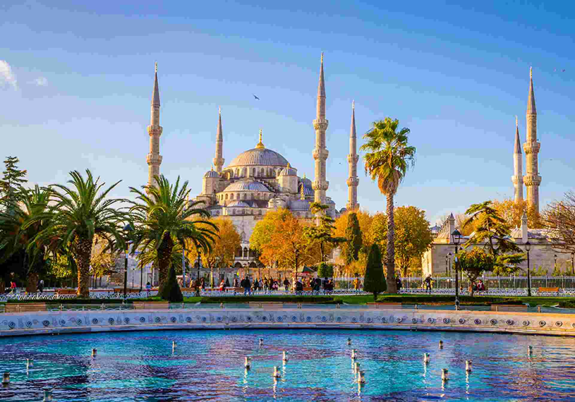 Northern Türkiye Discovery