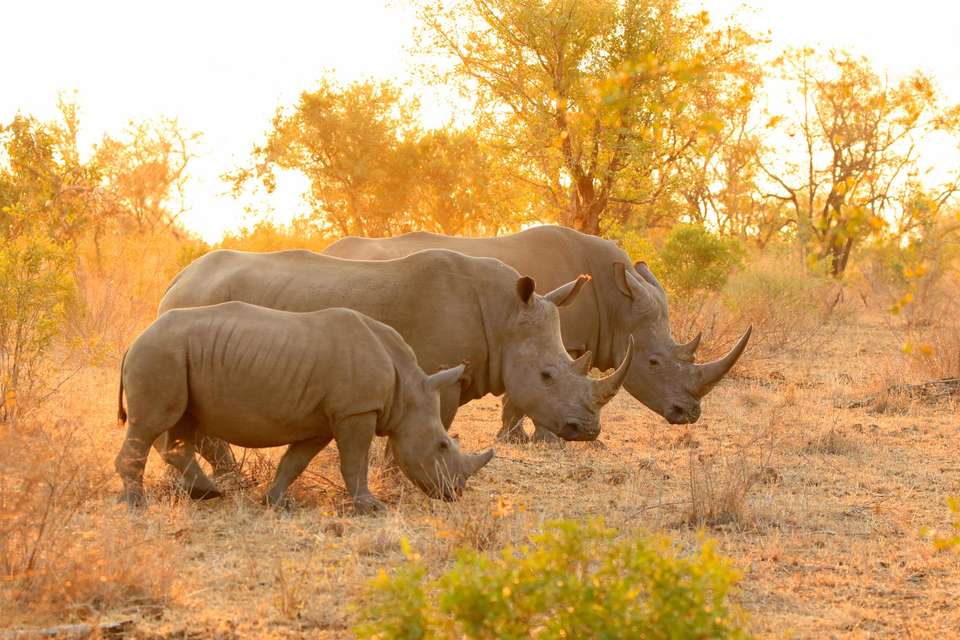 Northern Tanzania Circuit - World Expeditions - Tanzania - Image 1