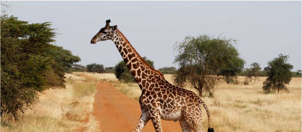 Northern Tanzania Circuit - World Expeditions - Tanzania - Image 5